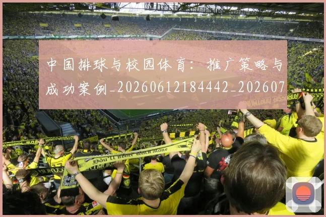 中国排球与校园体育：推广策略与成功案例_20260612184442_20260702201915